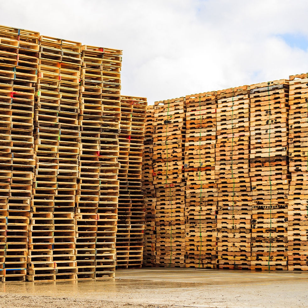 Recycled_pallets_2.jpeg