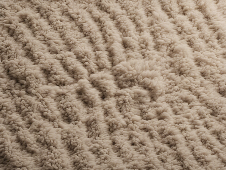 Expert Carpet Cleaning Tips for a Fresh Home