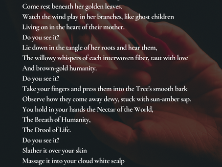 The Tree of Forgiveness - by Shewa Adekanmbi