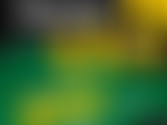 Chapadafest de cara nova!