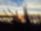 the island.jpeg