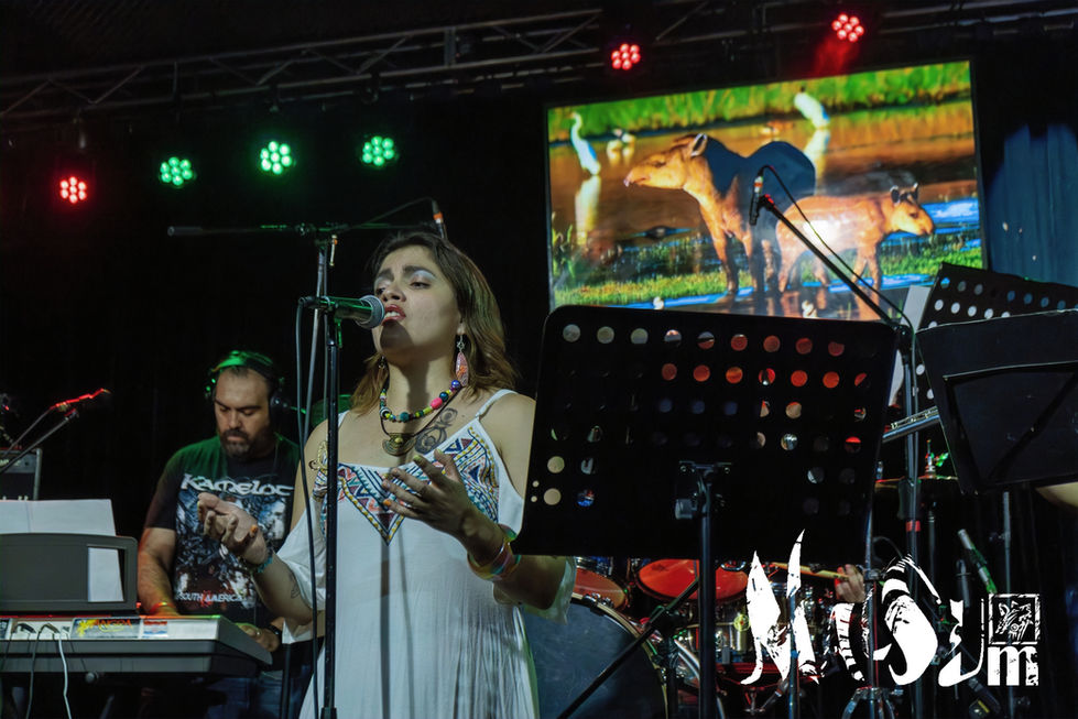 MALSUM GALERIA WEB4_edited_edited.jpg