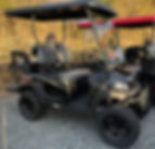 Black Lifted 2023_edited