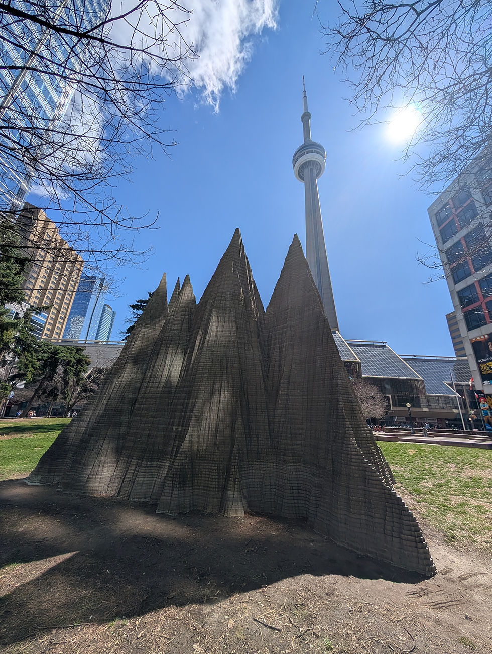 PXL_20260411_182528195.jpg