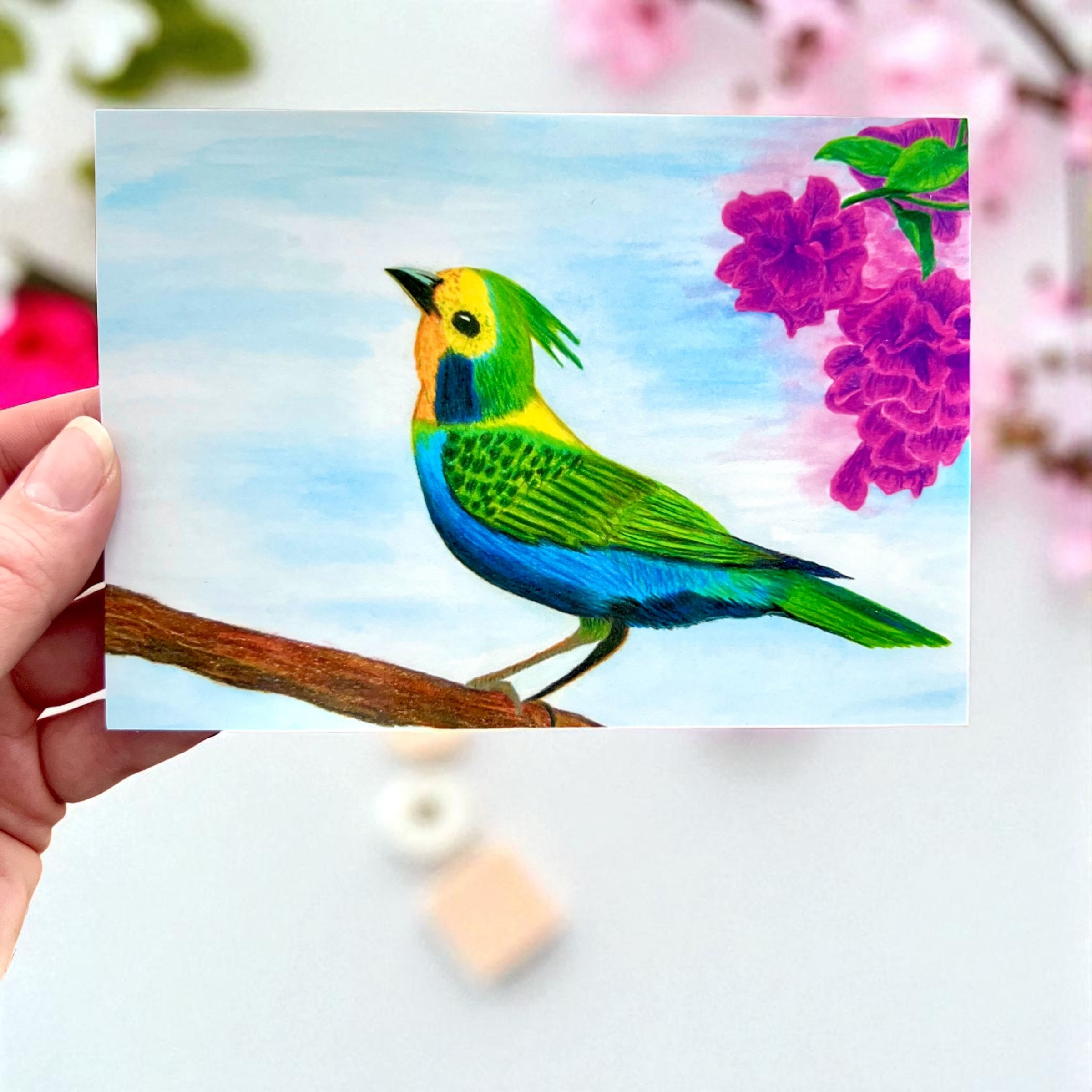 Postkarte - Flieg Vogel, flieg!