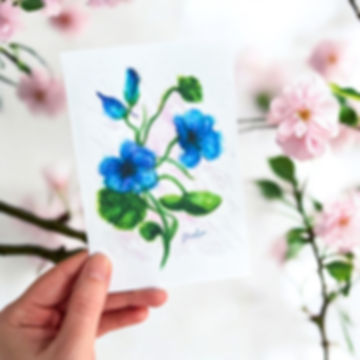 Postkarte - Malve