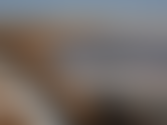 Choosing the Right TSF Design: Upstream, Downstream, or Centreline?