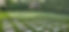 wix pic.jpeg
