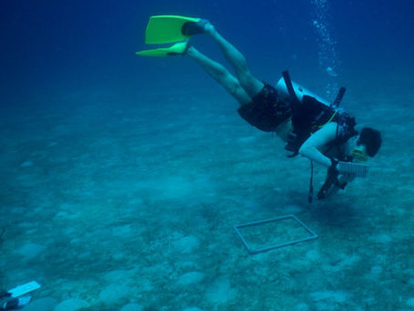Sea Grass Monitoring - Perhentian Islands, Malaysia