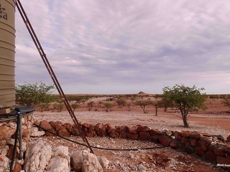 Mitigating Elephant and Human Conflict in the Namib