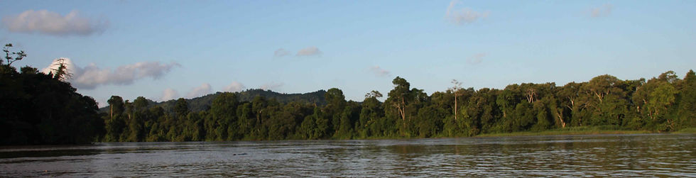 Forest-River Banner.jpg