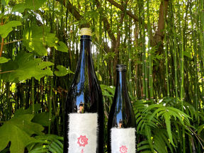 ８月発売のお酒