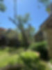 IMG_4559.jpeg