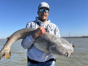 Where to Catch Blue Catfish in the USA | Big Rich Fish