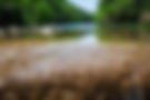 iStock-497118700.jpg