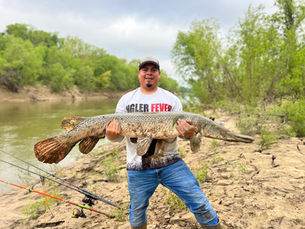 Angler holding a massive alligator gar during a guided fishing trip on a Texas river.