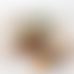 citrus & spice ham glaze