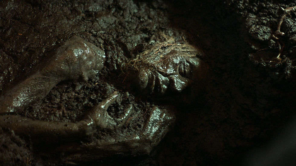 Dutch Folk Horror film and Shudder Original MOLOCH, directed by Nico van den Brink.