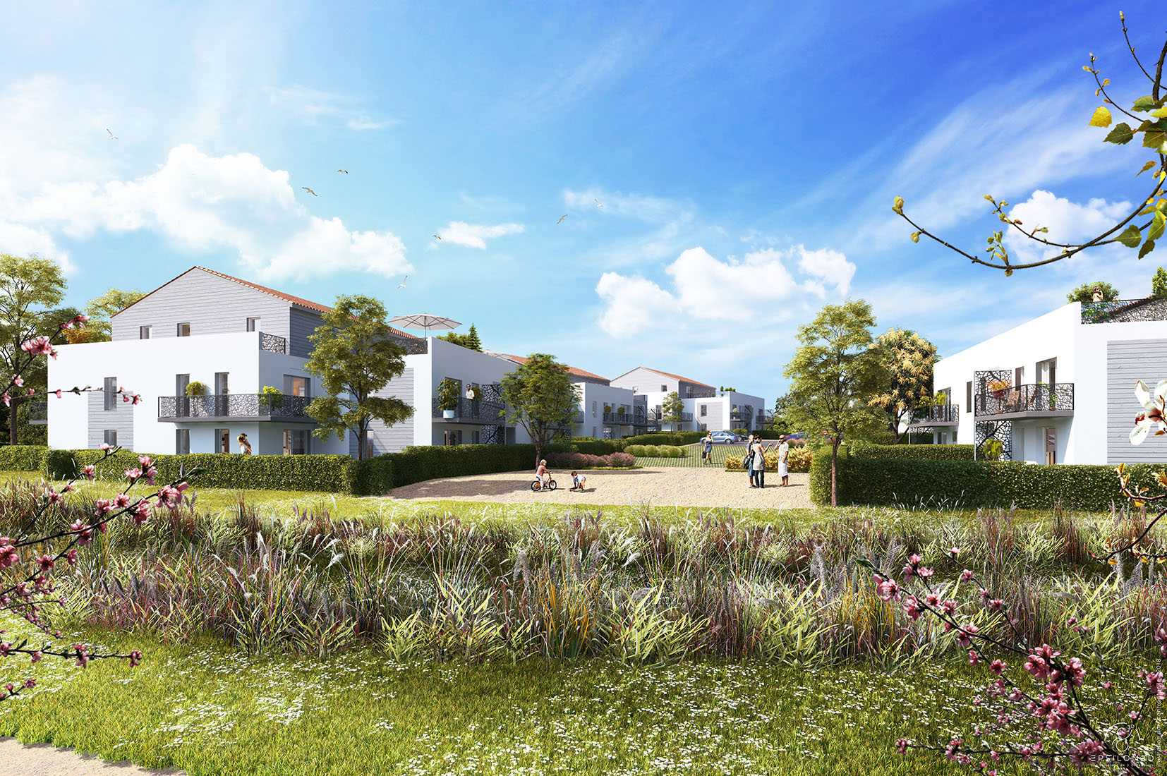 Le Clos Des Capucines Olonne Sur Mer