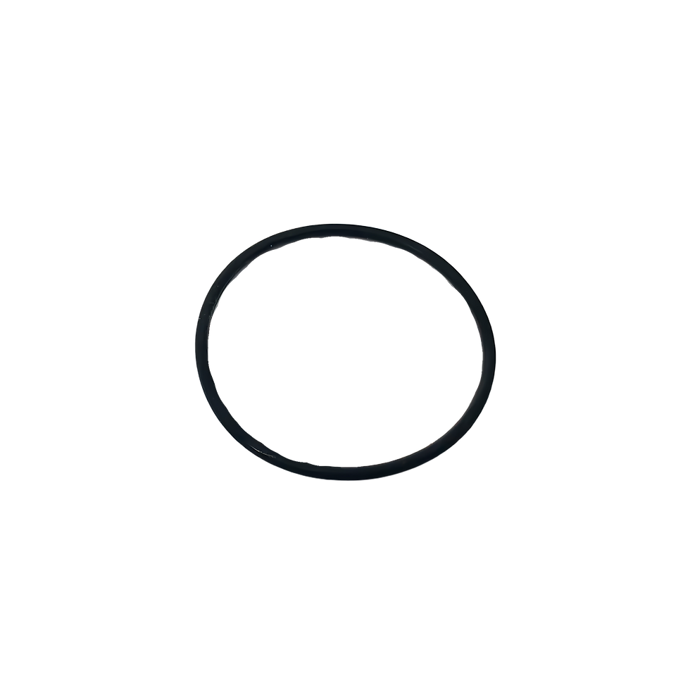 Electron Electrode O-Ring