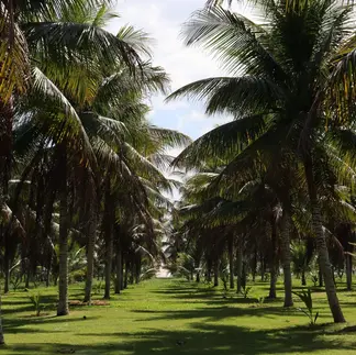 ONDE FICAR EM CORUMBAU