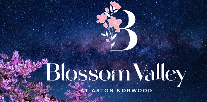 Blossom Valley 2025