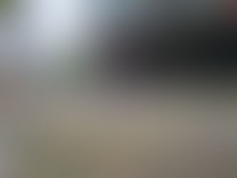 Santo Domingo’da Katliam: Bilardo Salonunda 7 Kişi Vurularak Öldürüldü