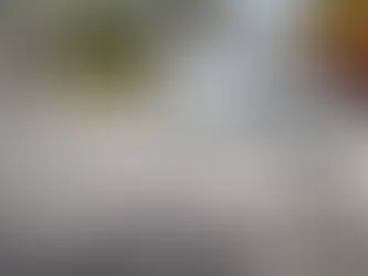 Bursa’da Fırtına Etkili Oldu: Ağaçlar Devrildi, Araçlar Zarar Gördü