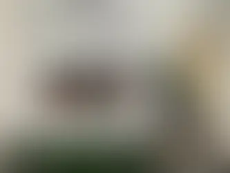 İstanbul Maltepe’de dronla tespit edilen uyuşturucu serasında 3 gözaltı