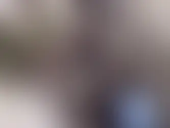 Bursa Osmangazi’de Petshopta Taciz İddiası: Aile İşletmeyi Bastı, Şüpheli Gözaltına Alındı