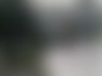 Meksika’da Şiddetli Yağışlar Sele Dönüştü: 41 Kişi Hayatını Kaybetti