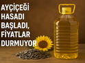 Ayçiçeği Hasadı Başladı, Fiyatlar Durmuyor: Raflarda 5 Litrelik Yağa 35 TL Zam