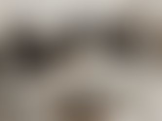 ABD’de 13 Yaşındaki Çocuk Katliam Hazırlığında Yakalandı: Evinden 23 Silah Çıktı