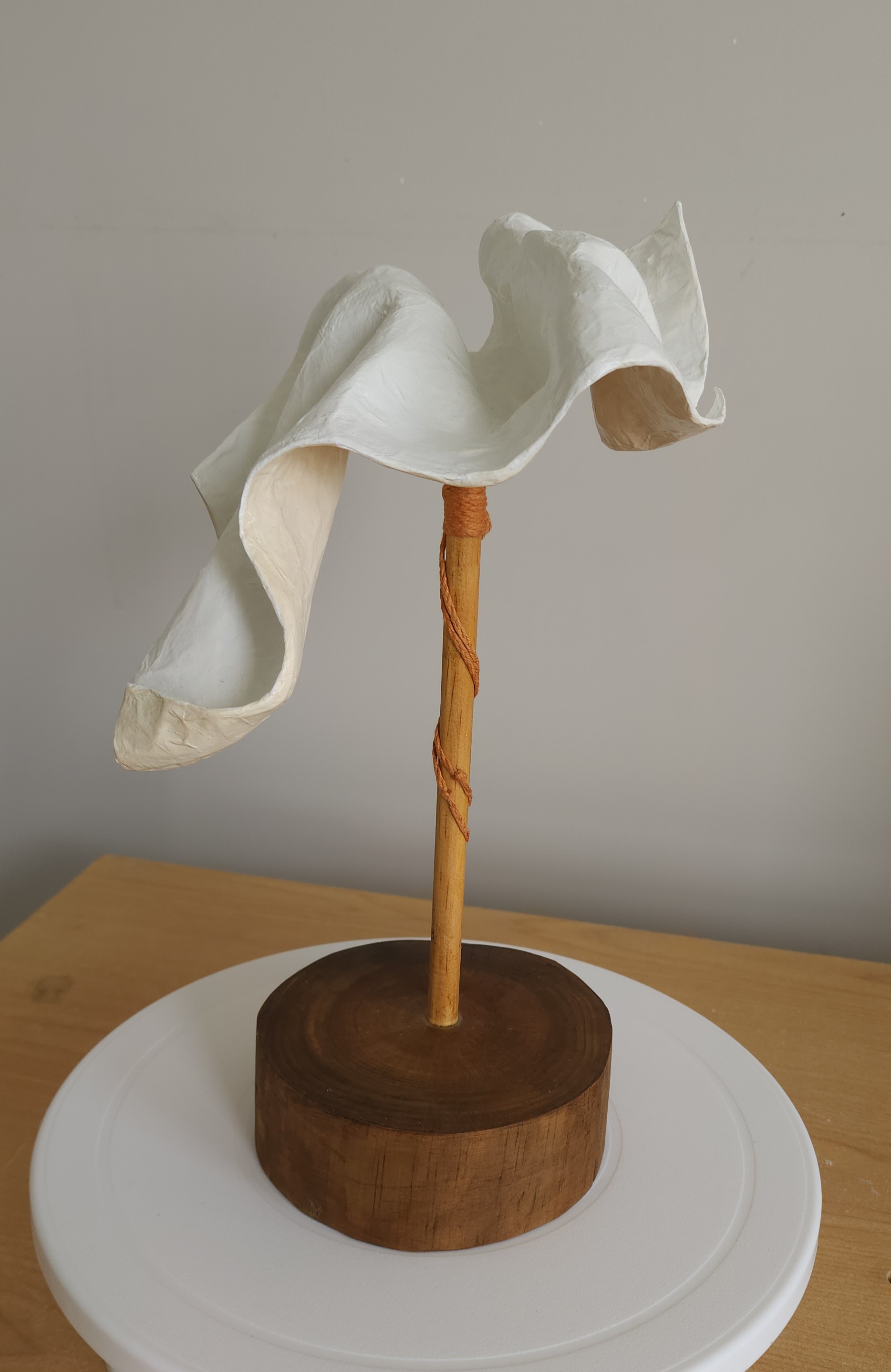 a small multimedia sculpture by Karlalise Horstmans called ALMOST FREE (featuring Pantone's 2026 Color of the Year Clouddancer)