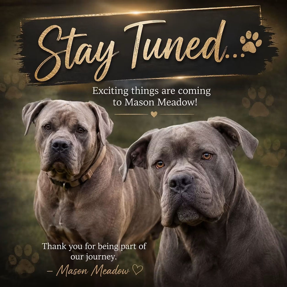 Upcoming Litter