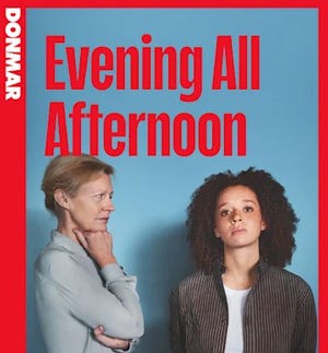 Assistant Stage Manager (cover) 'Evening All Afternoon' at Donmar Warehouse