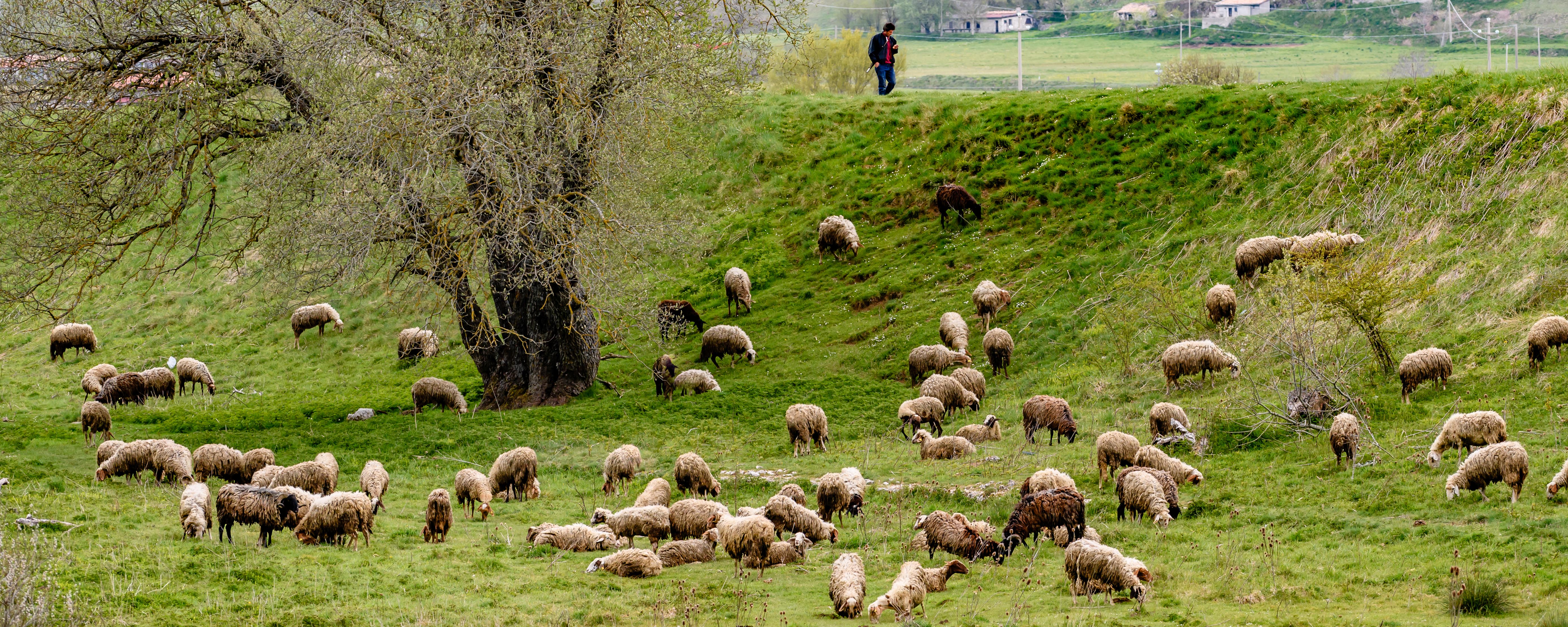 Fotokurs_herby-art.ch_HJM_7148