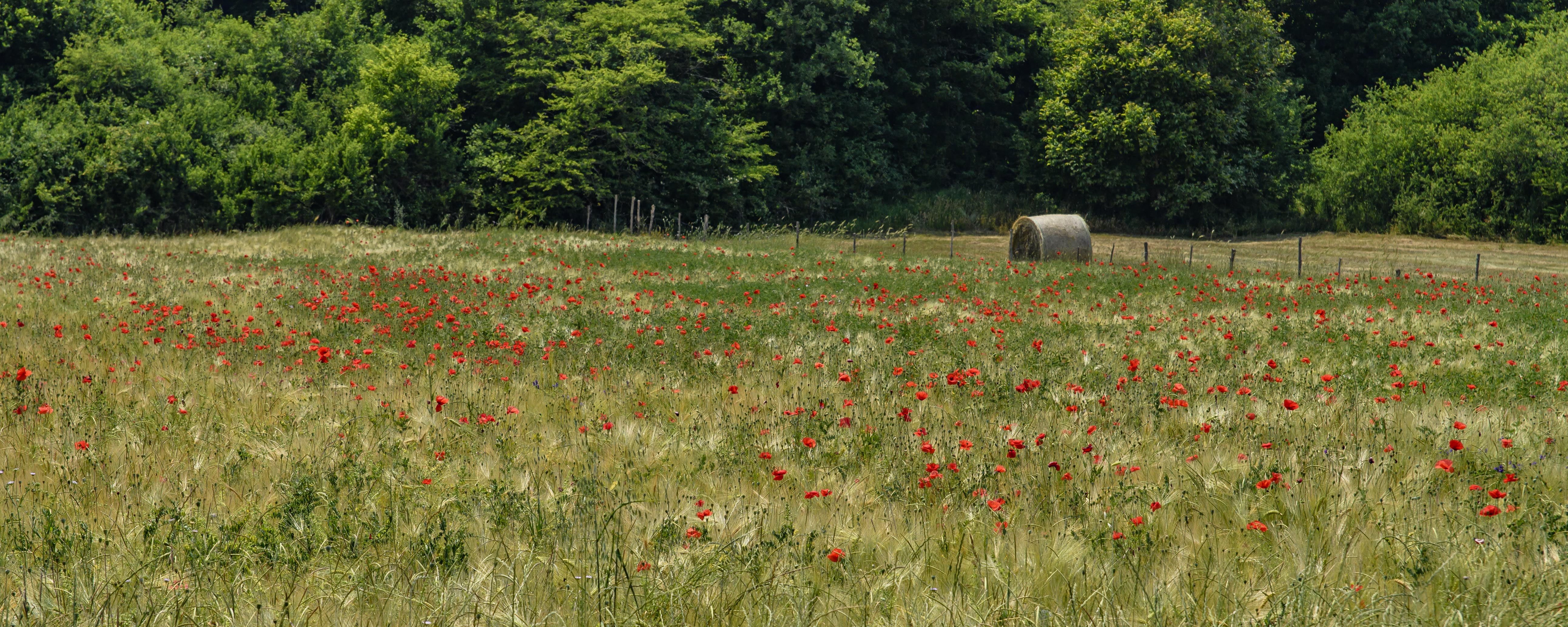 Fotokurs_herby-art.ch_HJM_1418