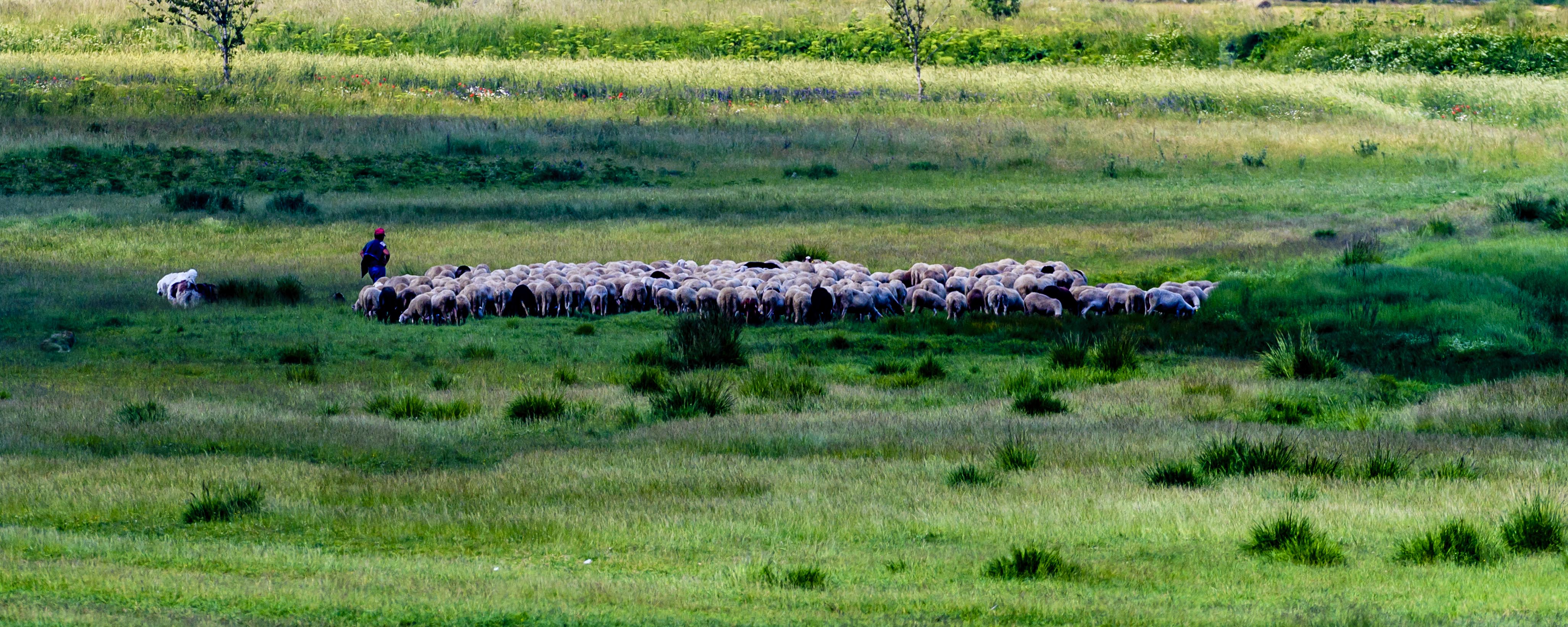 Fotokurs_herby-art.ch_HJM_1448