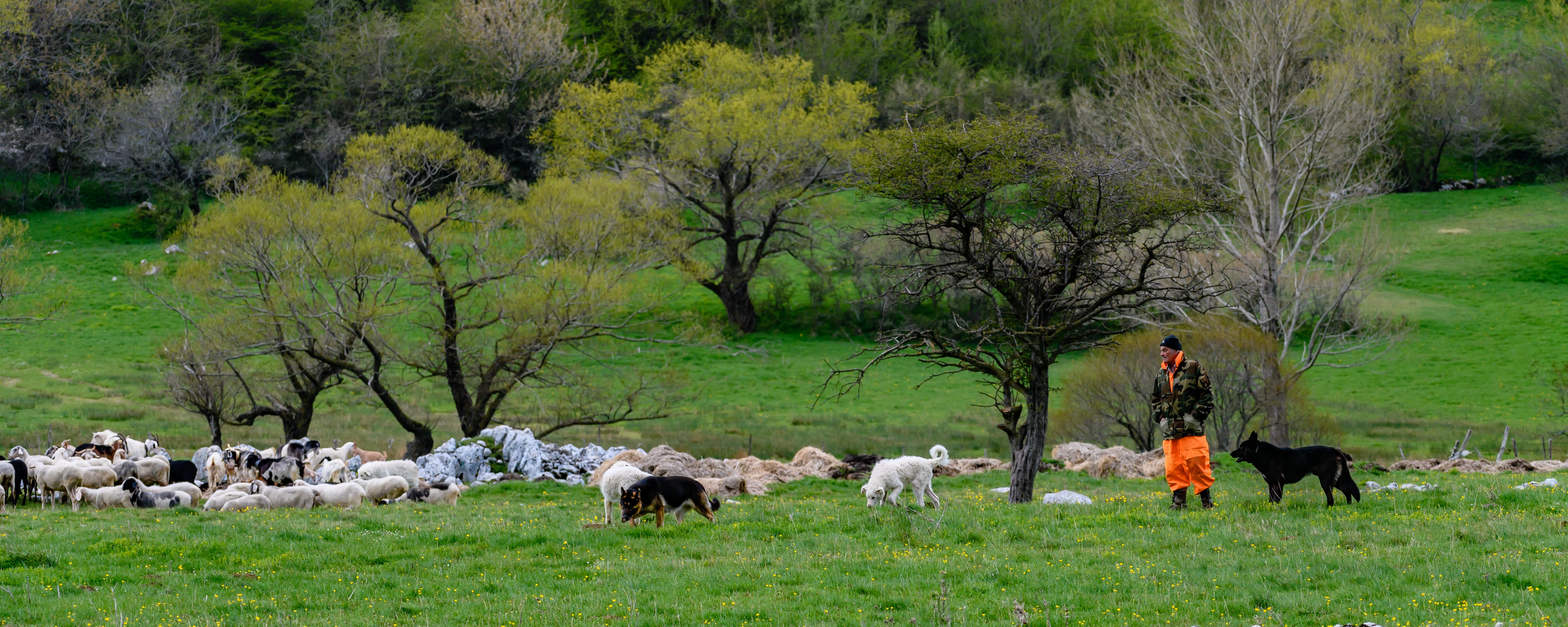 Fotokurs_herby-art.ch_HJM_7194