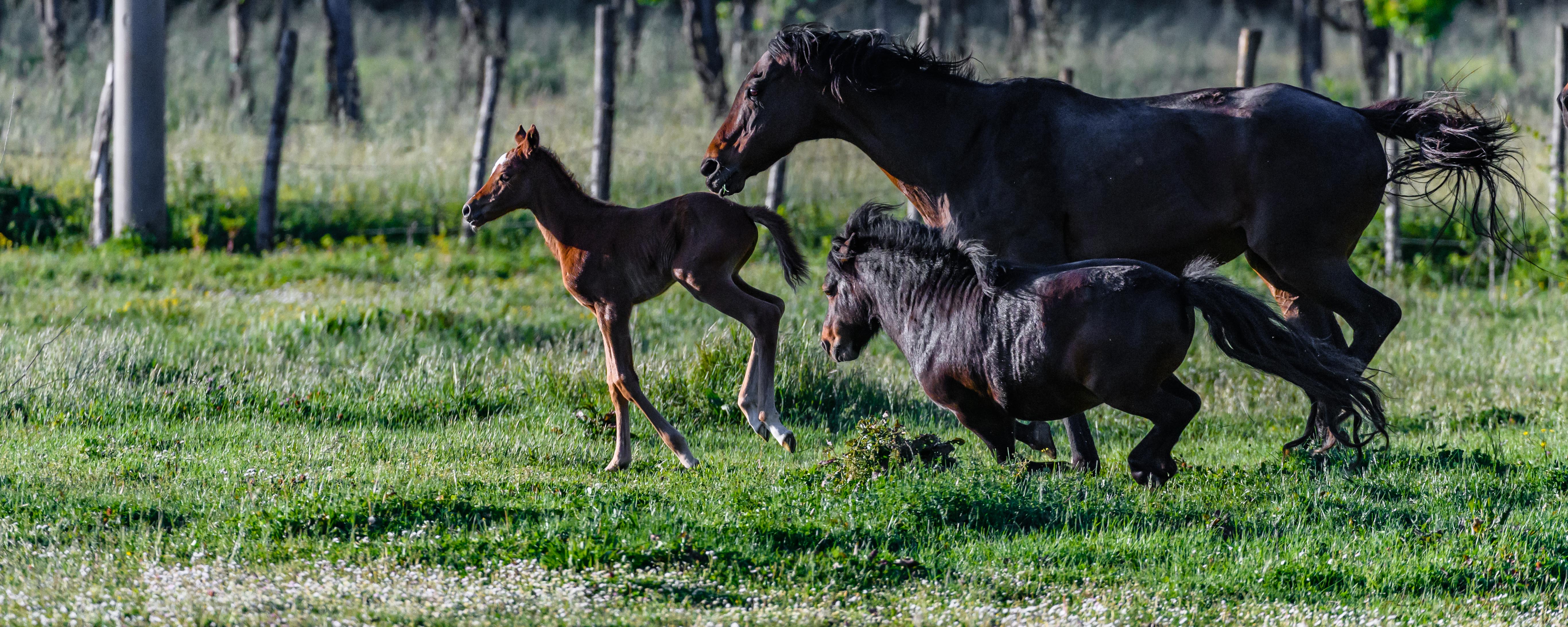 Fotokurs_herby-art.ch_HJM_6846