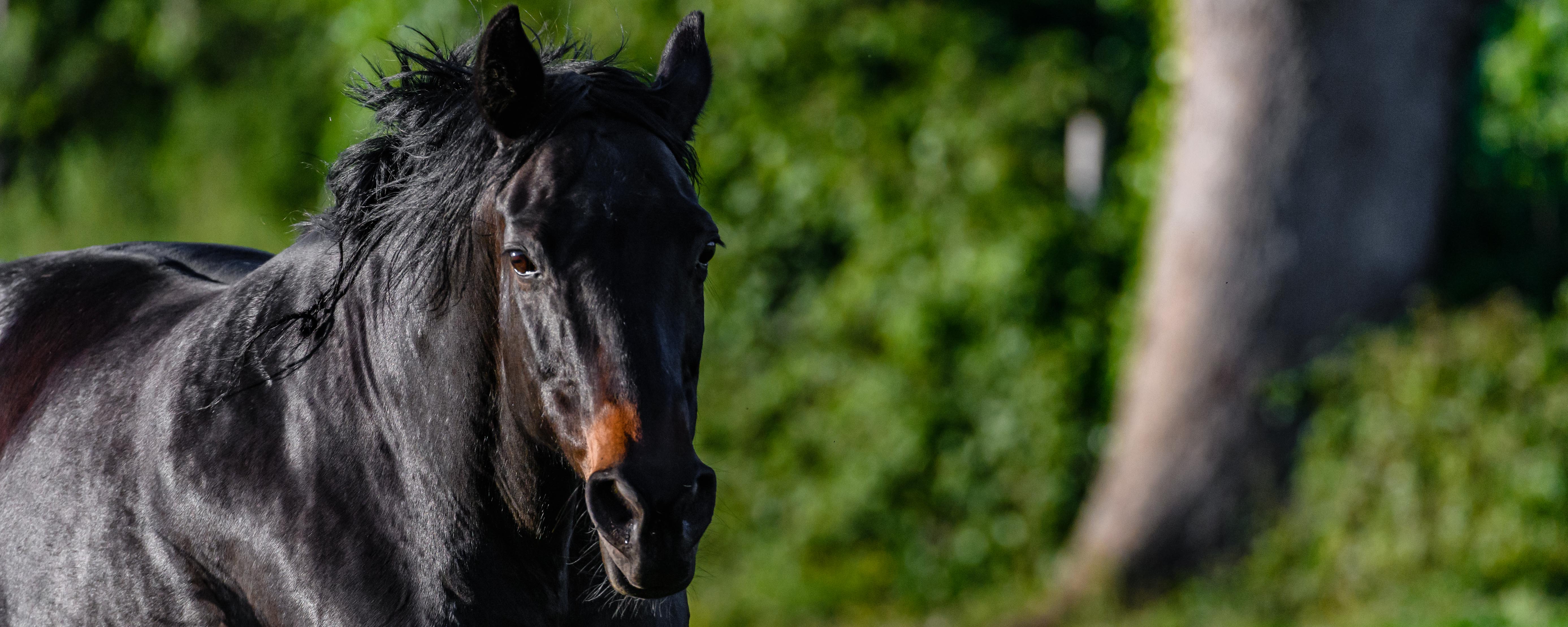 Fotokurs_herby-art.ch_HJM_6784