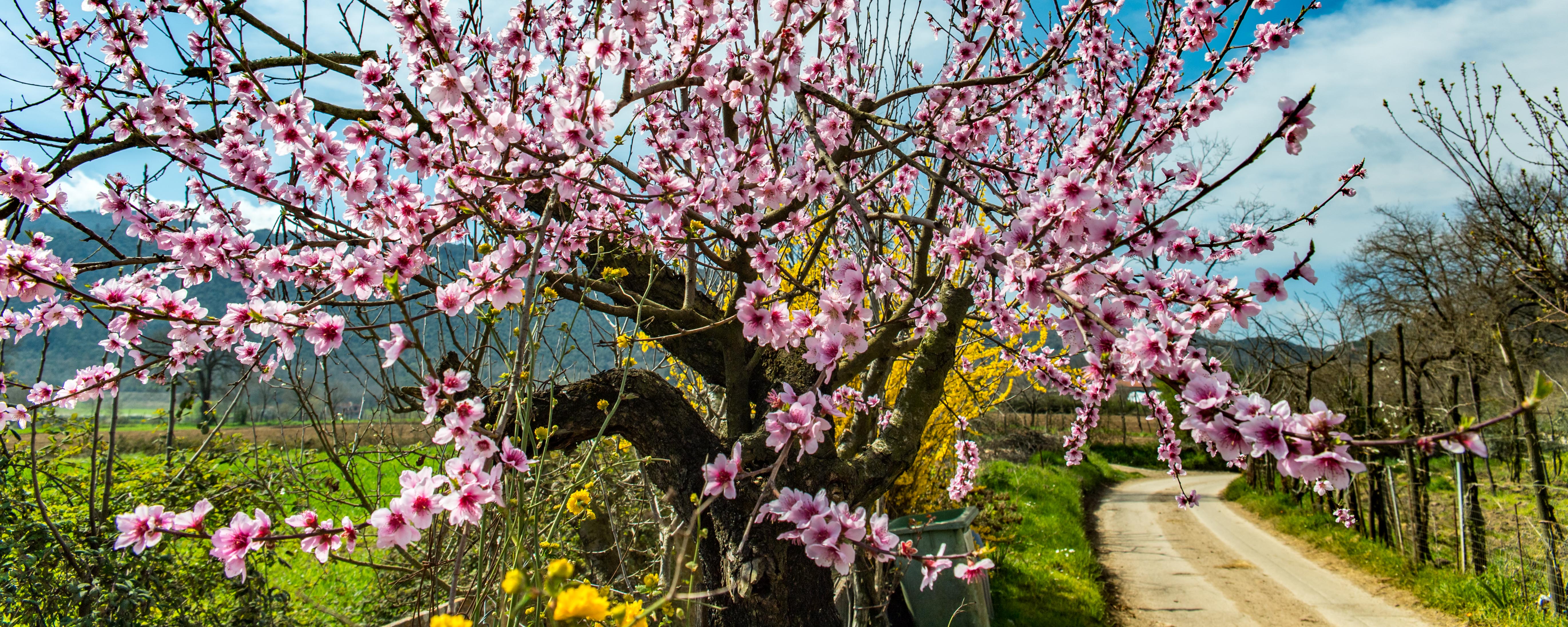 Fotokurs_herby-art.ch_HJM_9817