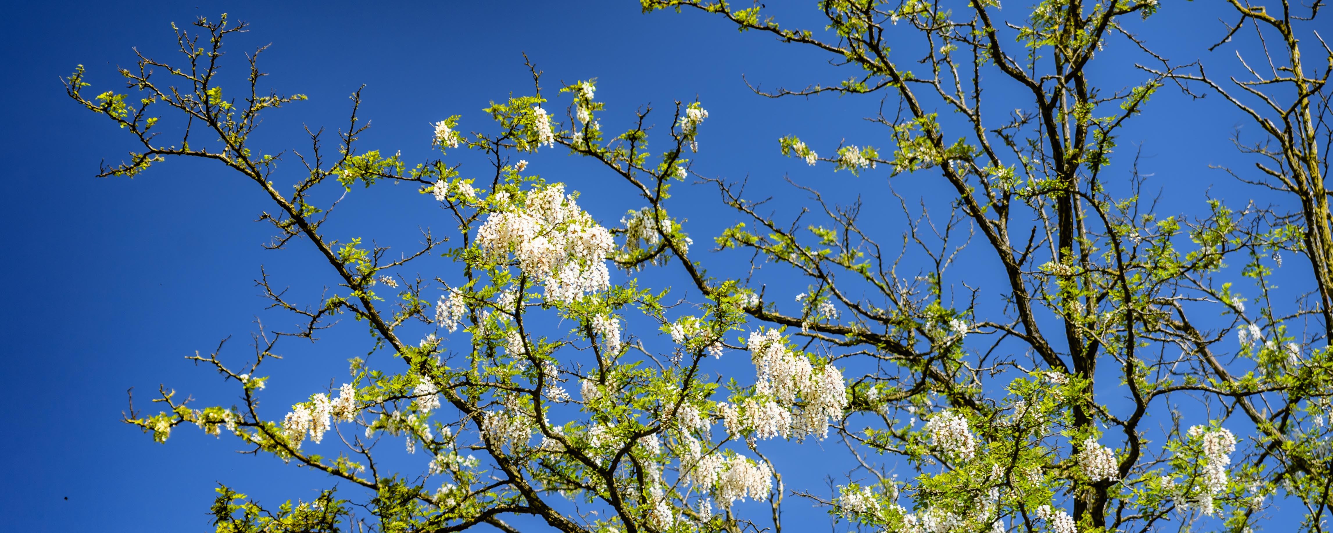 Fotokurs_herby-art.ch_HJM_6889