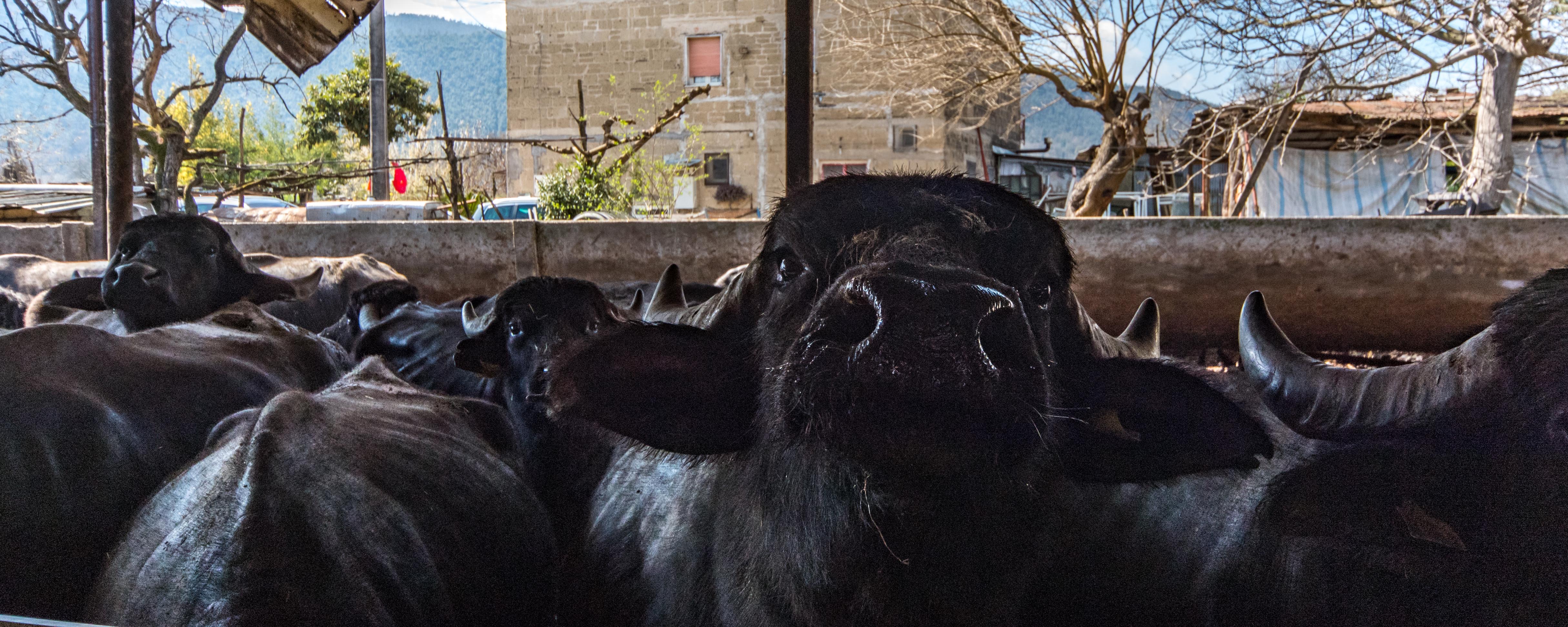 Fotokurs_herby-art.ch_HJM_9741