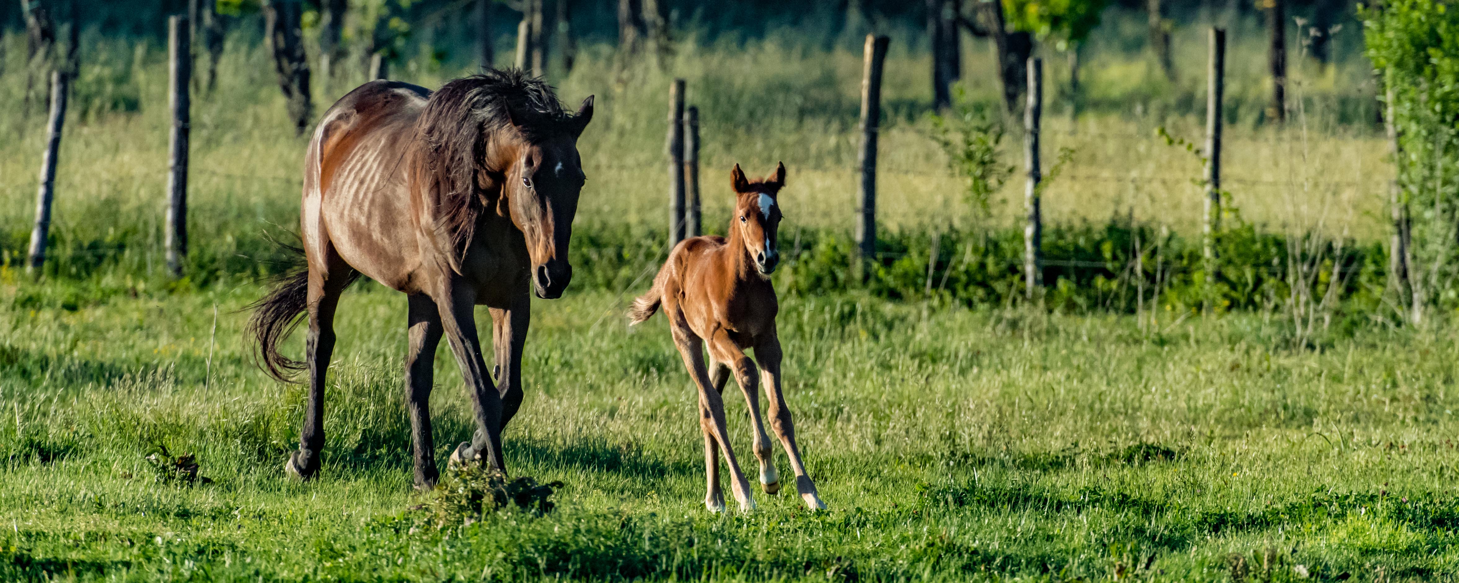 Fotokurs_herby-art.ch_HJM_6774