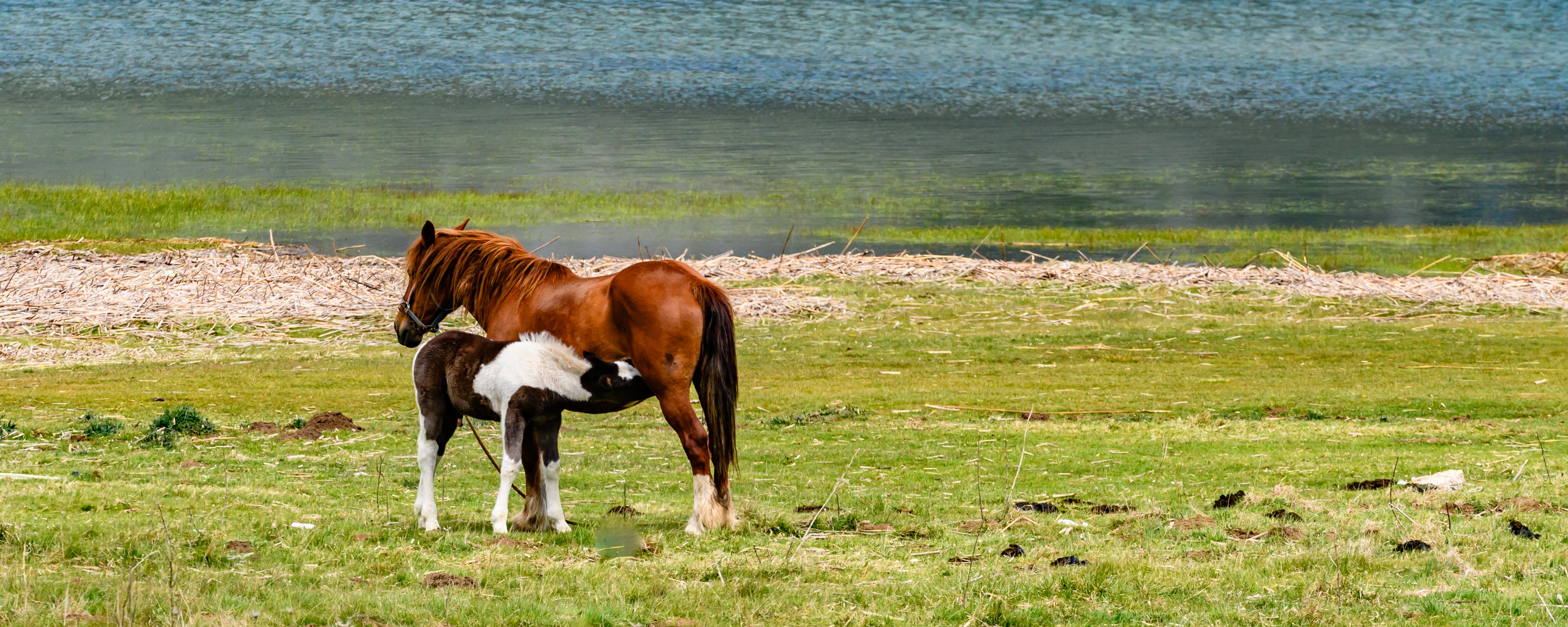 Fotokurs_herby-art.ch_HJM_7129