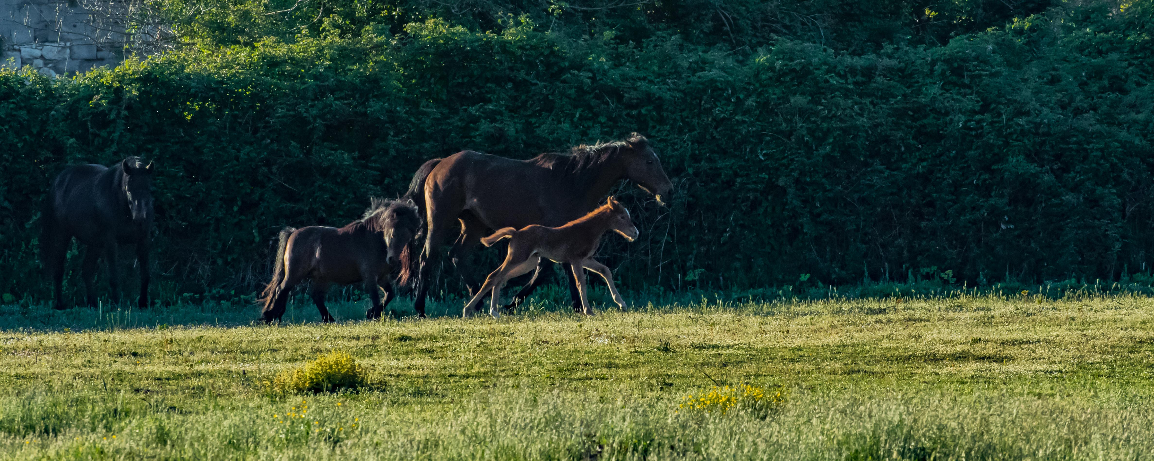 Fotokurs_herby-art.ch_HJM_6747