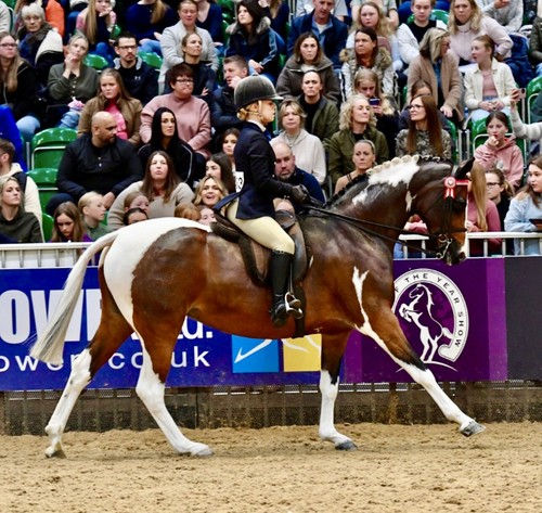 3234bernardwaetherillwool.jfif