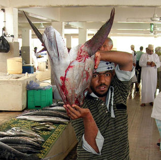 Loïc L eRibault au sultanat d'Oman